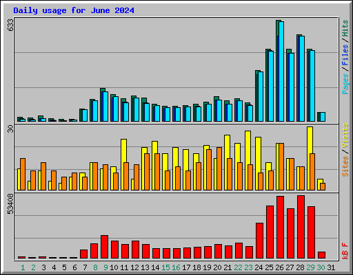 Daily usage for June 2024