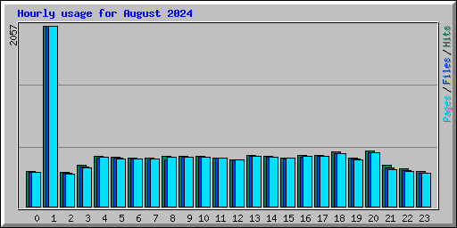 Hourly usage for August 2024